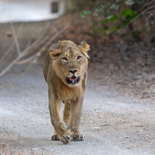 amazing-gujarat-itinerary-3