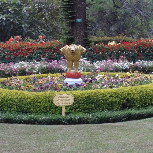 your-travel-sarathi-botanical garden-ooty
