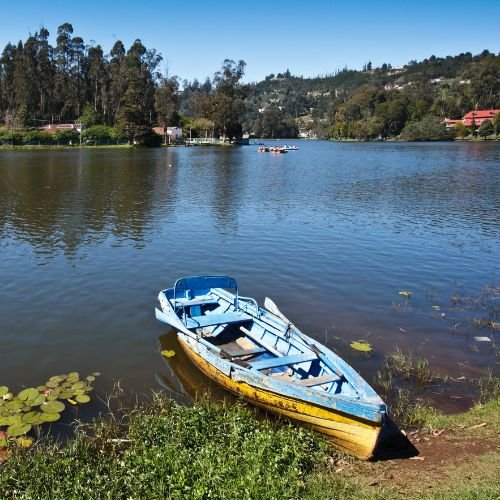 your-travel-sarathi-kodaikanal