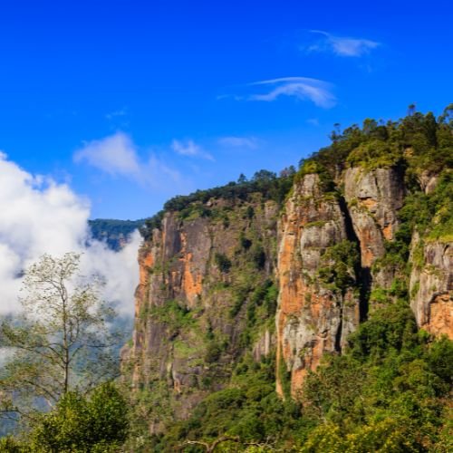 your-travel-sarathi-pillar-rock
